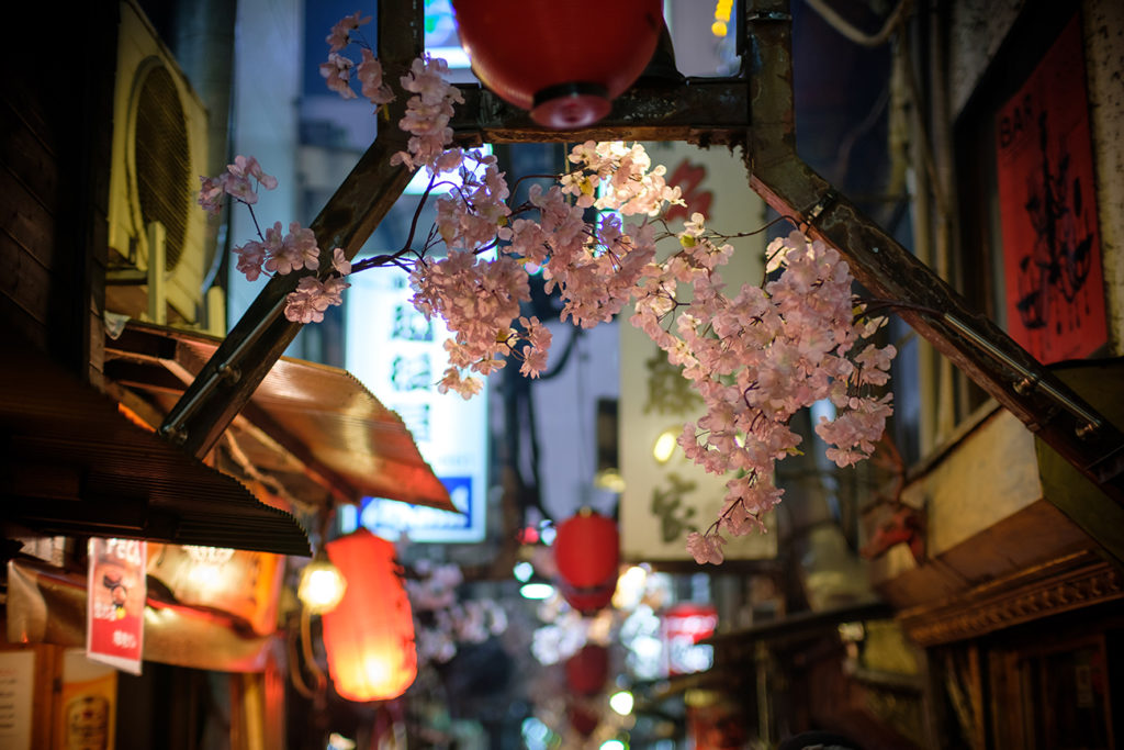 Omoide Yokocho