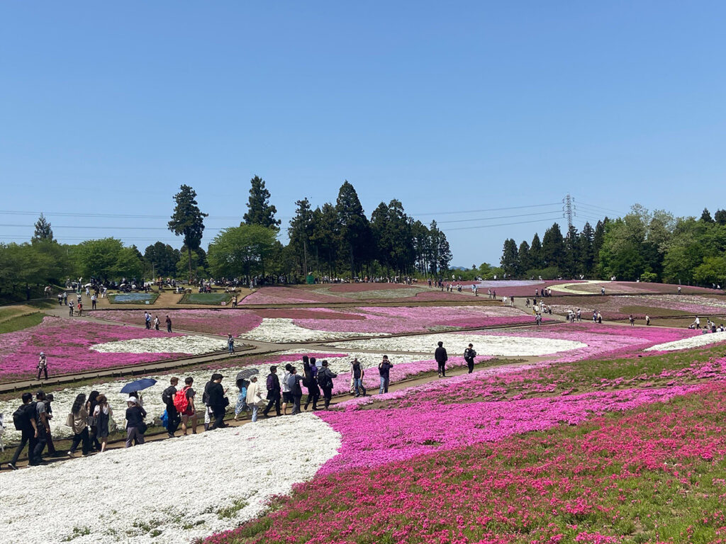 A KCP class being guided through the Pink Moss Hills